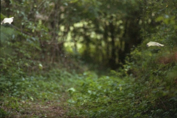 gallery/cad ensemble 3