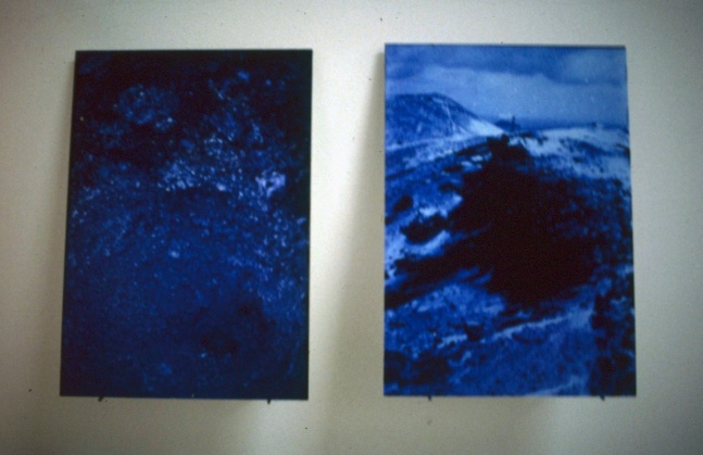 gallery/janvier 2017 013-ts1588443410.jpg